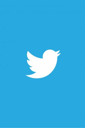 Twiter заблокировал более тысячи аккаунтов в России за госпропаганду